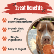 Farm To Pet Turkey Chips for Dogs | All-Natural Single-Ingredient Healthy Dog Treats Chip Antique White Standard 4oz,Value 12oz
