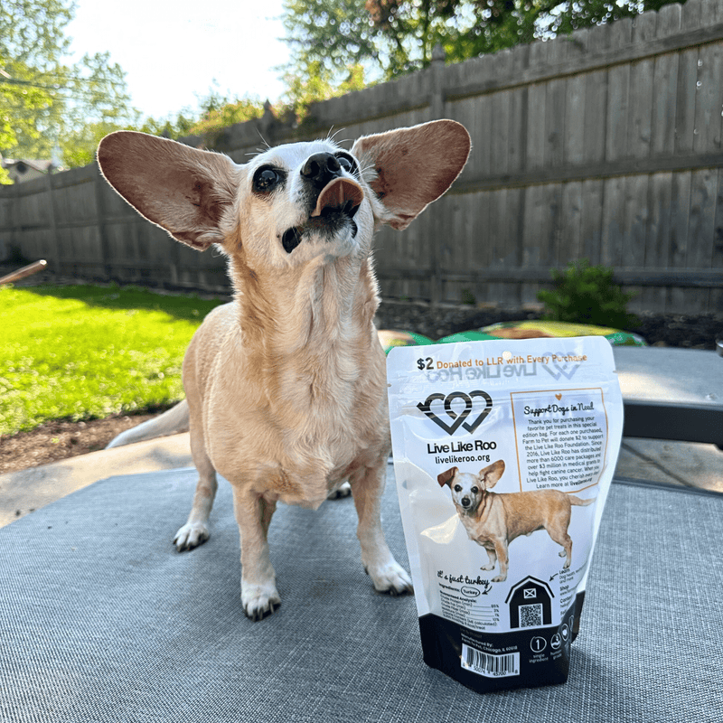 Farm To Pet Live Like Roo Turkey Chips for Dogs | Dog Treats That Give Back Chip Dark Slate Gray Single Pack ($2 Donation),Six Pack ($15 Donation!)