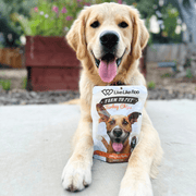 Farm To Pet Live Like Roo Turkey Chips for Dogs | Dog Treats That Give Back Chip Lavender Single Pack ($2 Donation),Six Pack ($15 Donation!)