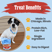 Farm To Pet Chicago Chicken Chips for Dogs | Dog Treats To Celebrate Our Hometown Chip Light Blue
