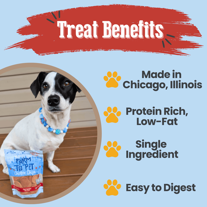 Farm To Pet Chicago Chicken Chips for Dogs | Dog Treats To Celebrate Our Hometown Chip Light Blue