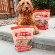 Farm To Pet Turkey Chips for Dogs | All-Natural Single-Ingredient Healthy Dog Treats Chip Light Gray Standard 4oz,Value 12oz