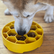 Farm To Pet Slow Feeder Dog Bowls Dog Bowl Gray Red Santa,Green Holiday Tree,Yellow Honeycomb,Blue Wave