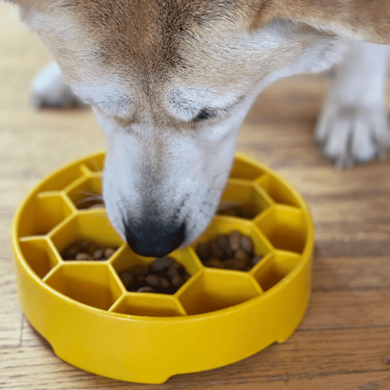 Farm To Pet Slow Feeder Dog Bowls Dog Bowl Gray Red Santa,Green Holiday Tree,Yellow Honeycomb,Blue Wave