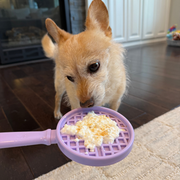 Farm To Pet Lick Sticks | Interactive Dog Training Toy Lick Stick Black Yellow Beehive,Pink Ice Cream,Blue Flower,Purple Waffle