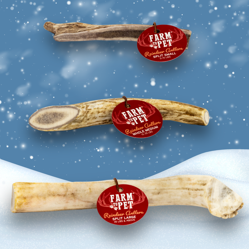 Farm To Pet Reindeer Antler Dog Chews | Organic Chews for Dogs Antler Dog Chew Steel Blue Whole / Small (1-15 LBS),Whole / Medium (15-35 LBS),Whole / Large (35+ LBS),Split / Small (1-15 LBS),Split / Medium (15-35 LBS),Split / Large (35+ LBS)