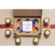 Slow North Favorites Collection - 6 Pack Collection Box Gray