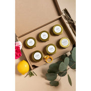 Slow North Favorites Collection - 6 Pack Collection Box Tan