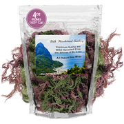 MG Windward Trading LLC Pure Certified Wild Harvested Full Spectrum Organic Raw Sea Moss Raw Sea Moss Gray 16oz,8oz,4oz