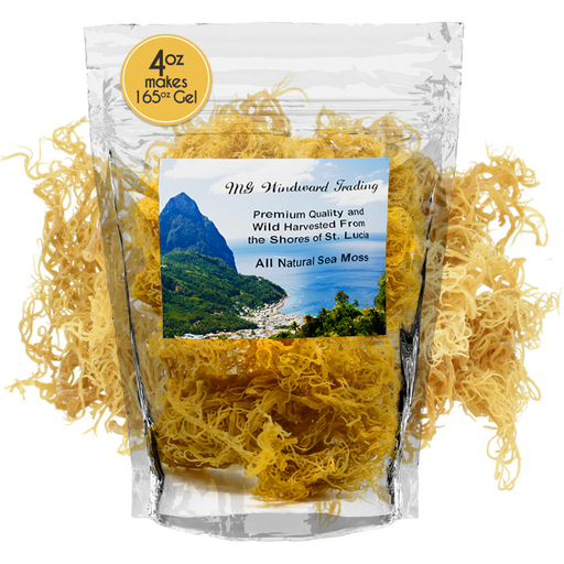 MG Windward Trading LLC Certified Pure Wild Harvested Organic Gold Raw Sea Moss Raw Sea Moss Goldenrod 4oz,8oz,1 pound,5 pounds,10 pounds,20 pounds