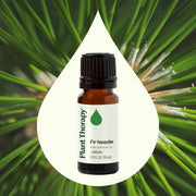Plant Therapy Fir Needle Essential Oil Essential Oil Seashell 10 mL,30 mL
