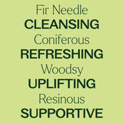 Plant Therapy Fir Needle Essential Oil Essential Oil Khaki 10 mL,30 mL
