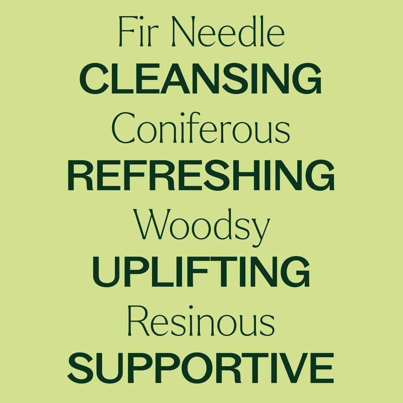 Plant Therapy Fir Needle Essential Oil Essential Oil Khaki 10 mL,30 mL