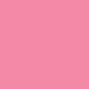 Graftobian Make-Up Company Pro Lip Color Lipstick Light Coral First Blush