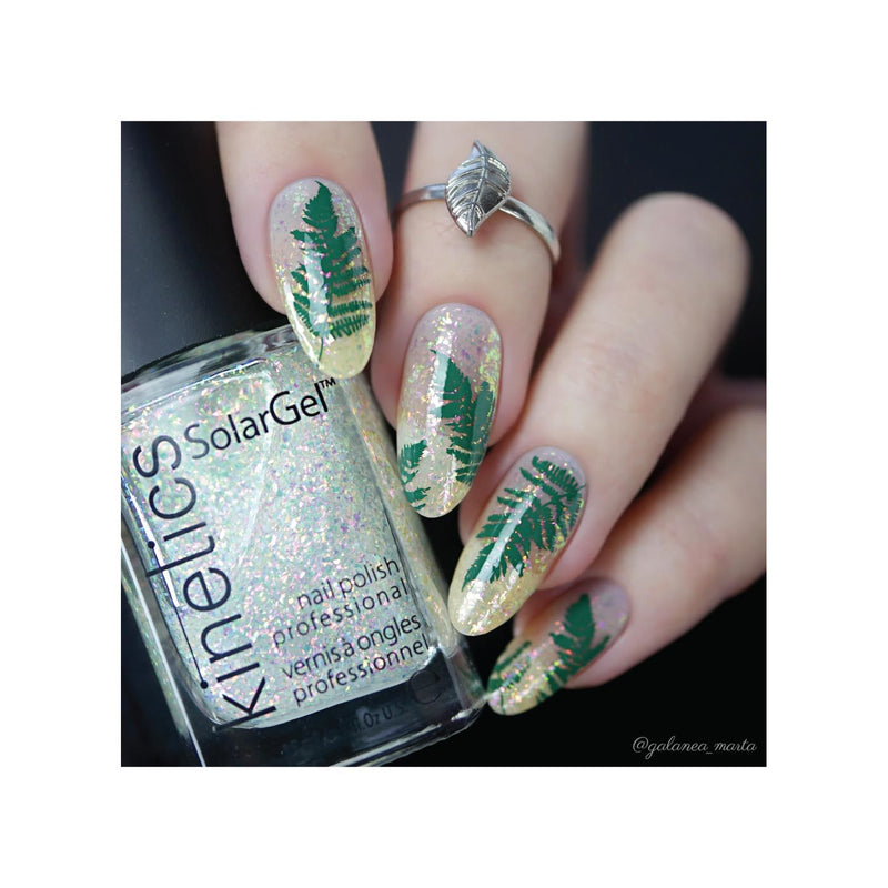 UberChic Beauty Flora & Fauna Stamping Plate Dark Gray