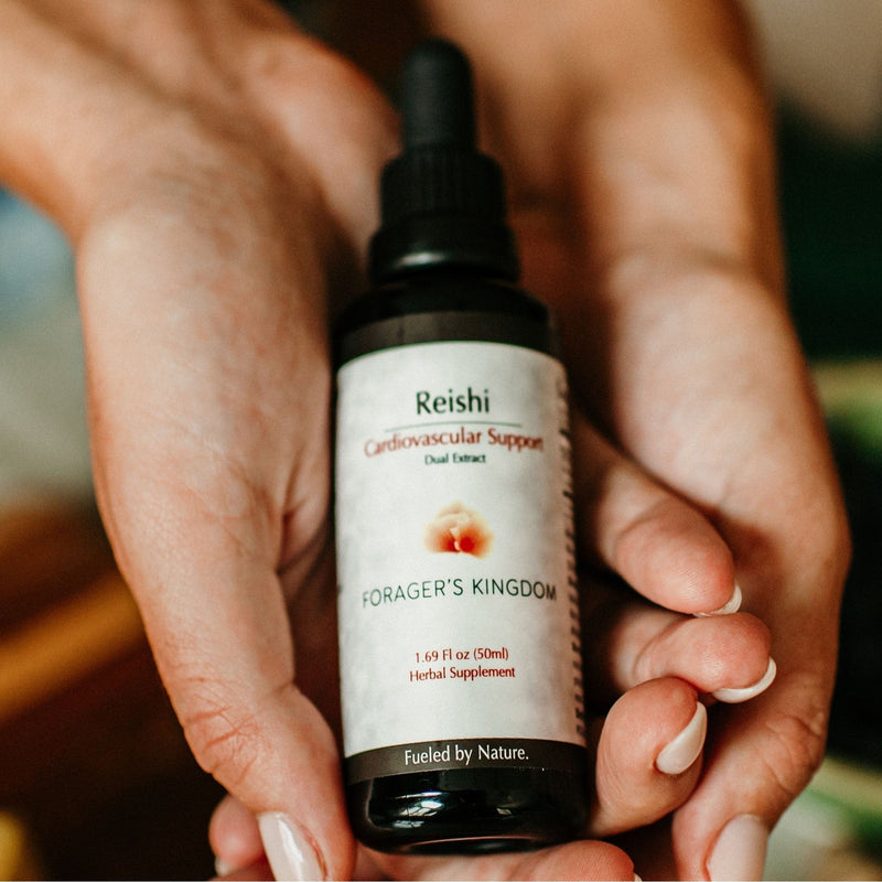 Forager's Kingdom Reishi Extract Mushroom Extract Rosy Brown