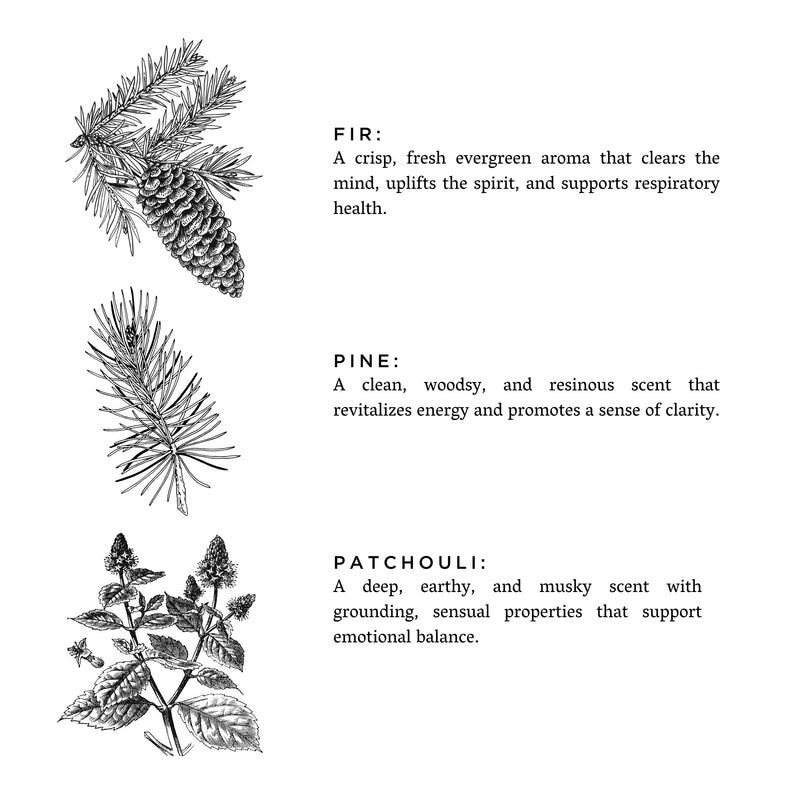 Slow North Forest Bathing - Signature Candle (Fir + Pine + Patchouli) Frosted Candles White Smoke