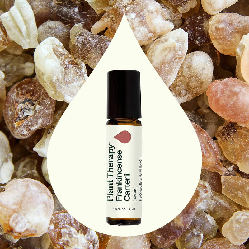 Plant Therapy Frankincense Carterii Essential Oil Pre-Diluted Roll-On Essential Oil Seashell 10 mL
