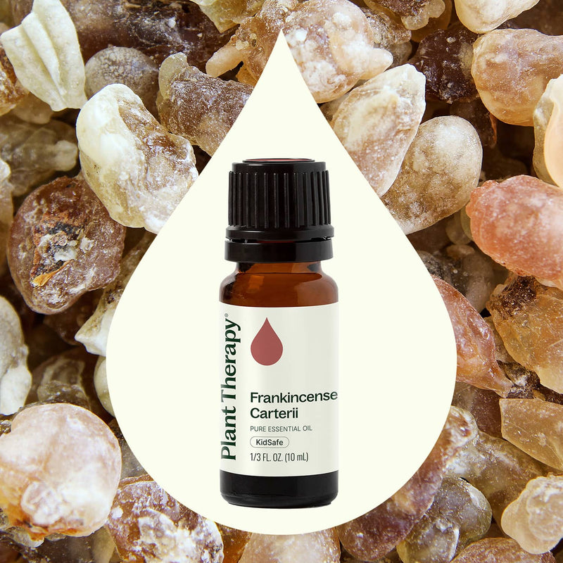 Plant Therapy Frankincense Carterii Essential Oil Essential Oil Seashell 10 mL,30 mL,100 mL