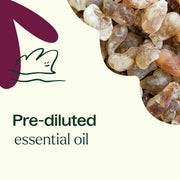 Plant Therapy Frankincense Carterii Essential Oil Pre-Diluted Roll-On Essential Oil Seashell 10 mL