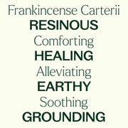 Plant Therapy Frankincense Carterii Essential Oil Essential Oil Floral White 10 mL,30 mL,100 mL