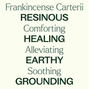 Plant Therapy Frankincense Carterii Essential Oil Pre-Diluted Roll-On Essential Oil Seashell 10 mL