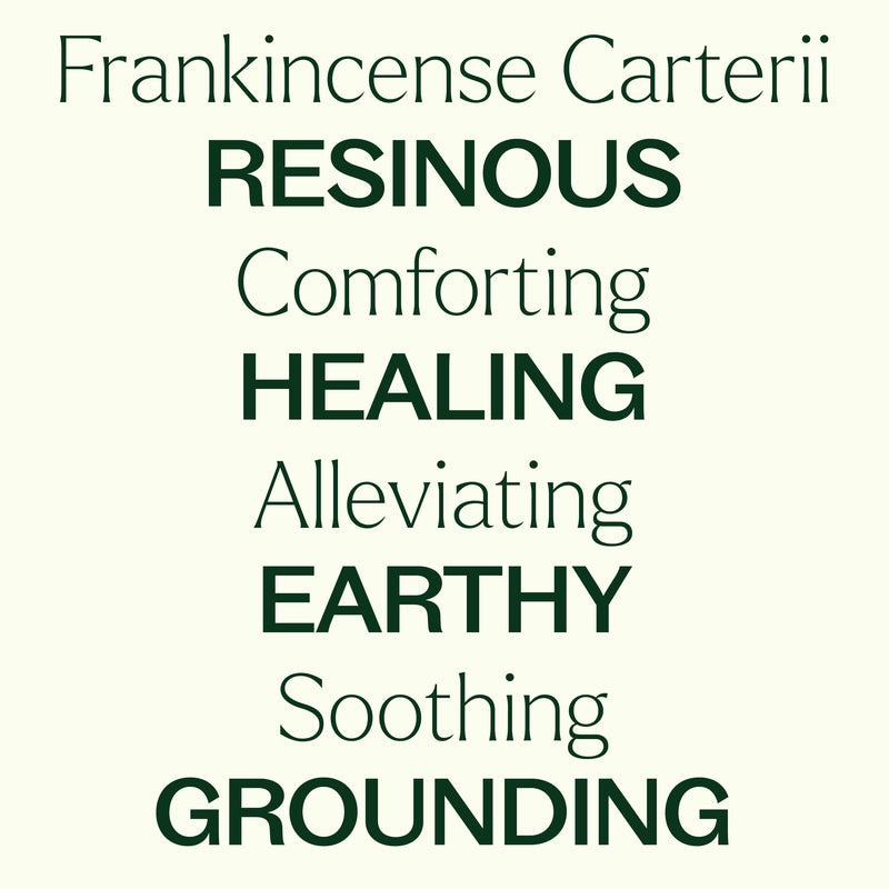 Plant Therapy Frankincense Carterii Essential Oil Pre-Diluted Roll-On Essential Oil Seashell 10 mL