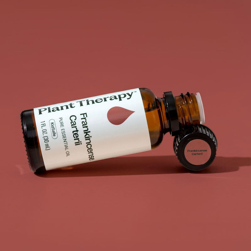 Plant Therapy Frankincense Carterii Essential Oil Pre-Diluted Roll-On Essential Oil Sienna 10 mL