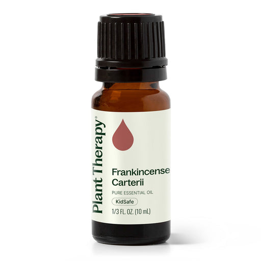 Plant Therapy Frankincense Carterii Essential Oil Essential Oil White Smoke 10 mL