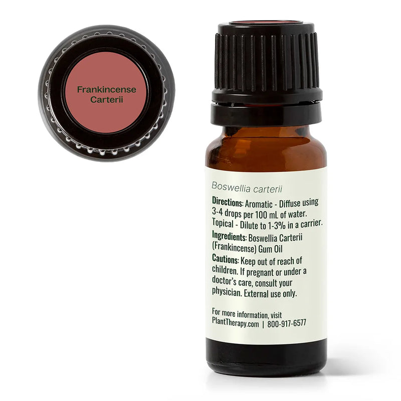 Plant Therapy Frankincense Carterii Essential Oil Essential Oil White Smoke 10 mL,30 mL,100 mL