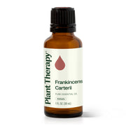 Plant Therapy Frankincense Carterii Essential Oil Essential Oil White Smoke 30 mL