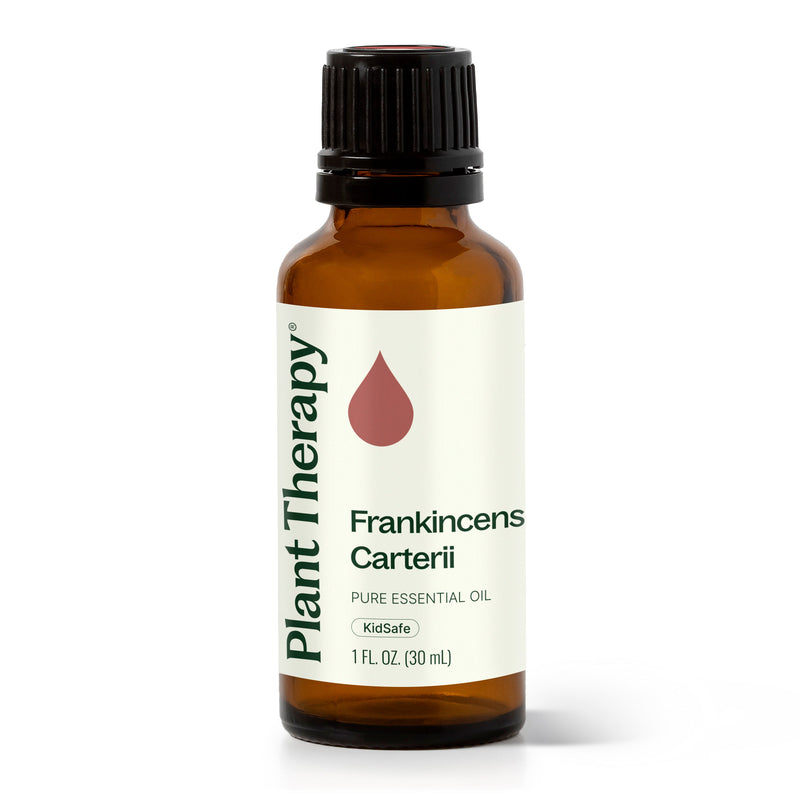 Plant Therapy Frankincense Carterii Essential Oil Essential Oil White Smoke 30 mL