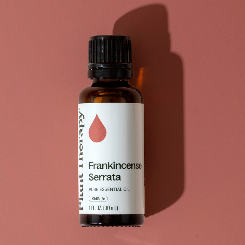 Plant Therapy Frankincense Serrata Essential Oil Essential Oil Maroon 10 mL,30 mL,100 mL