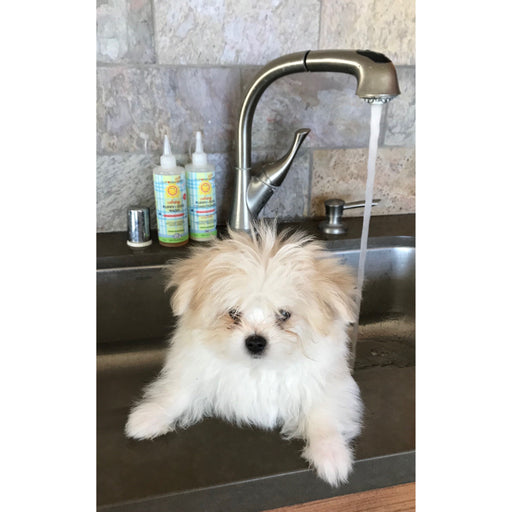California Baby Calming™ Puppy + Dog Wash & Conditioner Set Fur Baby Dark Slate Gray