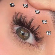 Pink Purée Anime Love DIY Lashes Tan 10mm,12mm,14mm,16mm,18mm