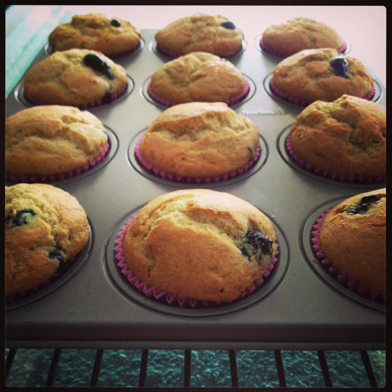 gfJules gfJules Gluten Free Muffin Mix Black Pack of 1,Pack of 4,Case of 12