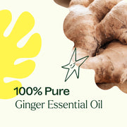 Plant Therapy Ginger Essential Oil Essential Oil Seashell 10 ml