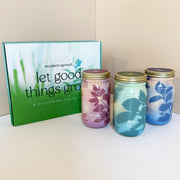 Modern Sprout Garden Jars - Organic Herbs Indoor Garden Kit Light Gray Basil+Parsley+Mint 3pk - Gift Boxed