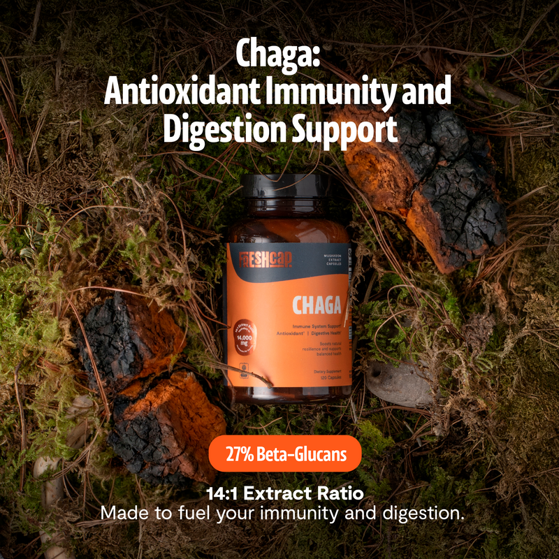 FreshCap Mushrooms Chaga Mushroom Extract Capsules Capsules Black