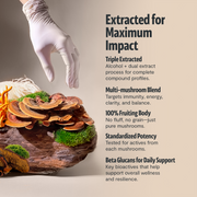FreshCap Mushrooms Organic Mushroom Extract Powder Blend Powder Wheat