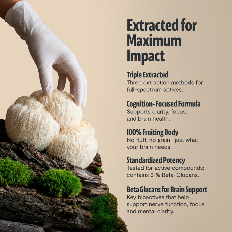 FreshCap Mushrooms Organic Lion’s Mane Mushroom Powder Powder Gray 60 Servings