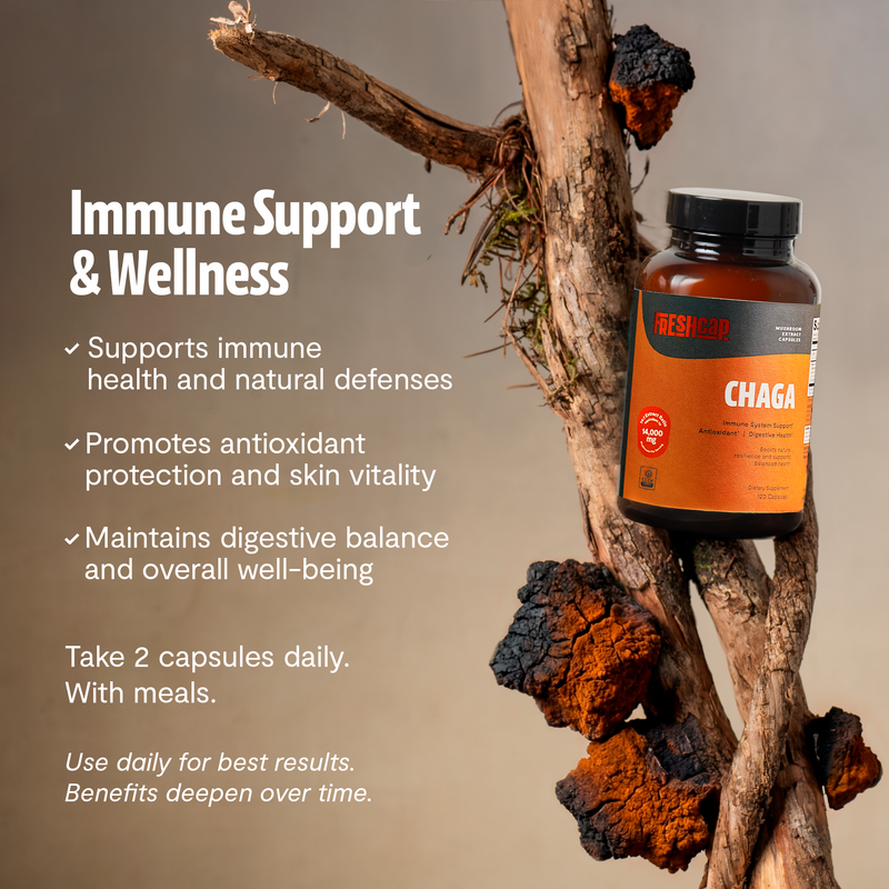 FreshCap Mushrooms Chaga Mushroom Extract Capsules Capsules Rosy Brown