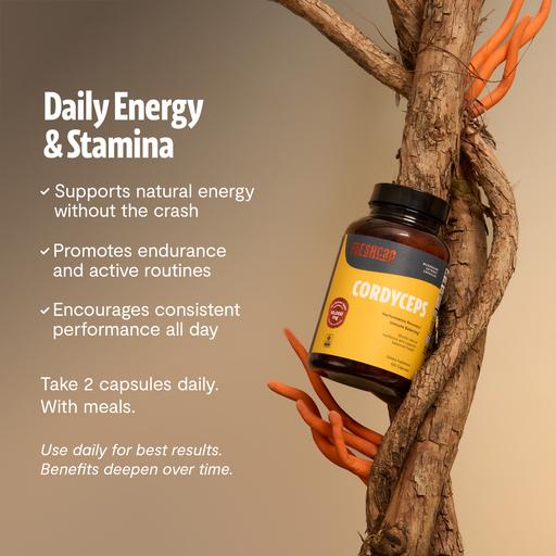 FreshCap Mushrooms Organic Cordyceps Mushroom Supplement Capsules Capsules Rosy Brown 120 Capsules