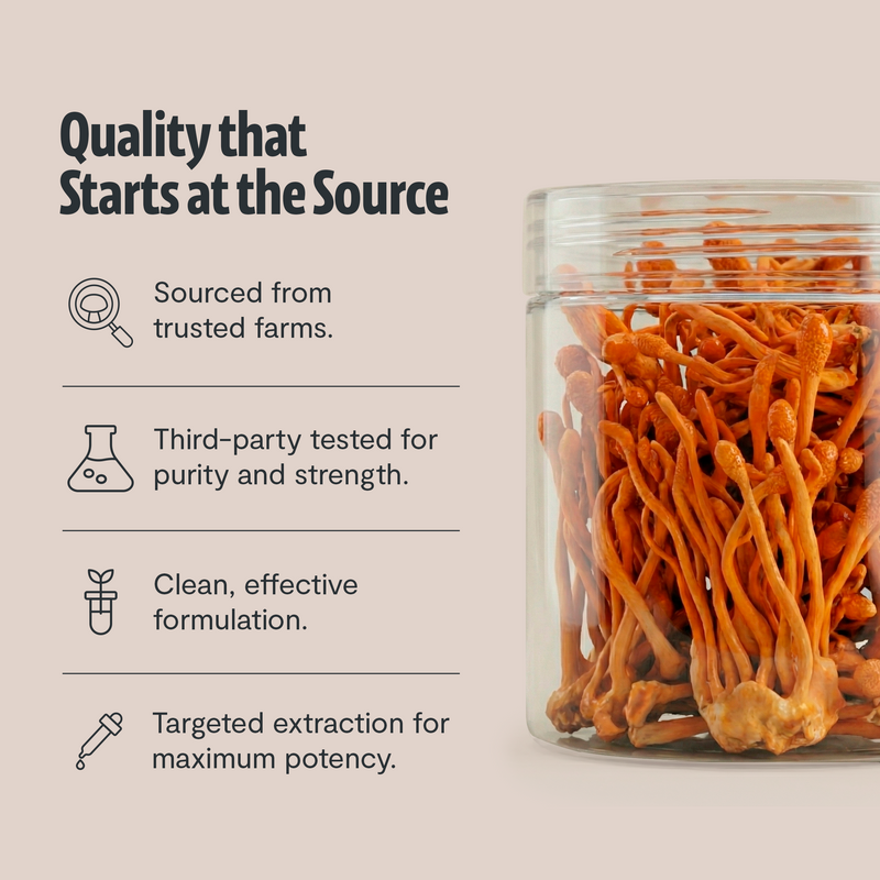 FreshCap Mushrooms Cordyceps Mushroom Extract Powder Powder Light Gray