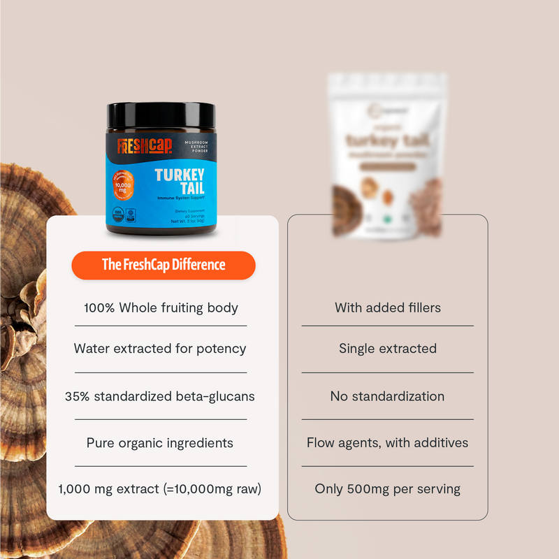 FreshCap Mushrooms Organic Turkey Tail Mushroom Powder Powder Light Gray