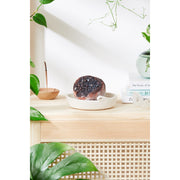 Butter Me Up Organics Organic Geode Bath Bombs / Geode / Organic Bath Fizzie Bath Antique White