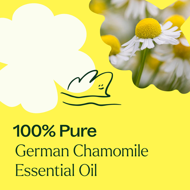 Plant Therapy German Chamomile Essential Oil Essential Oil Light Goldenrod 5 mL,10 mL