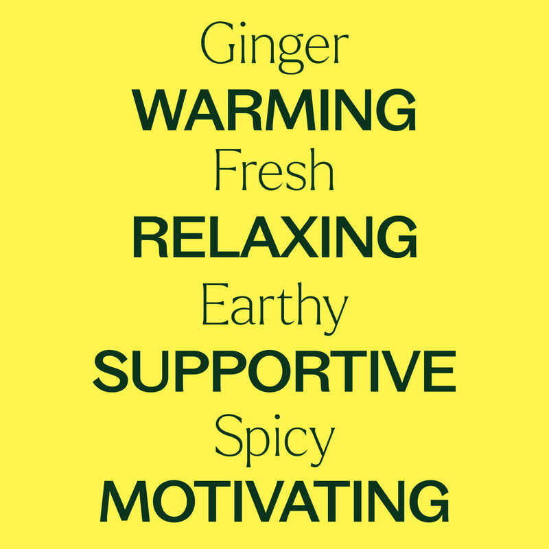 Plant Therapy Ginger Essential Oil Essential Oil Light Goldenrod 10 ml
