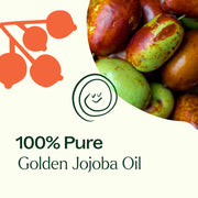Plant Therapy Golden Jojoba Carrier Oil Body Care Seashell 2 oz,4 oz,16 oz