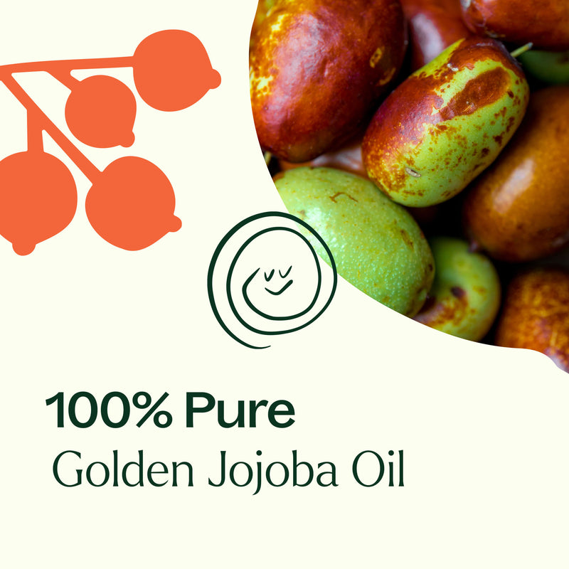 Plant Therapy Golden Jojoba Carrier Oil Body Care Seashell 2 oz,4 oz,16 oz